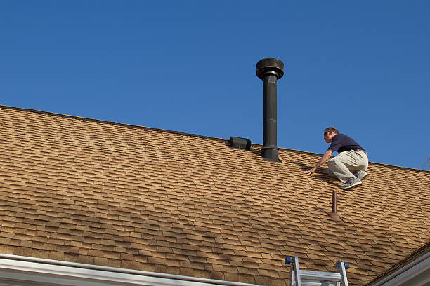 Best Roof Moss and Algae Removal  in Odessa, FL